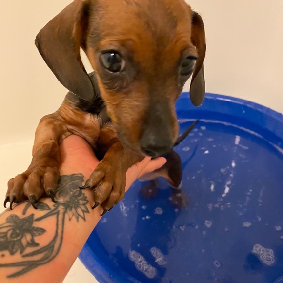 THANK YOU ❤️ - Picture 3 of 14